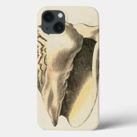 Vintage Sepia Conch Shell