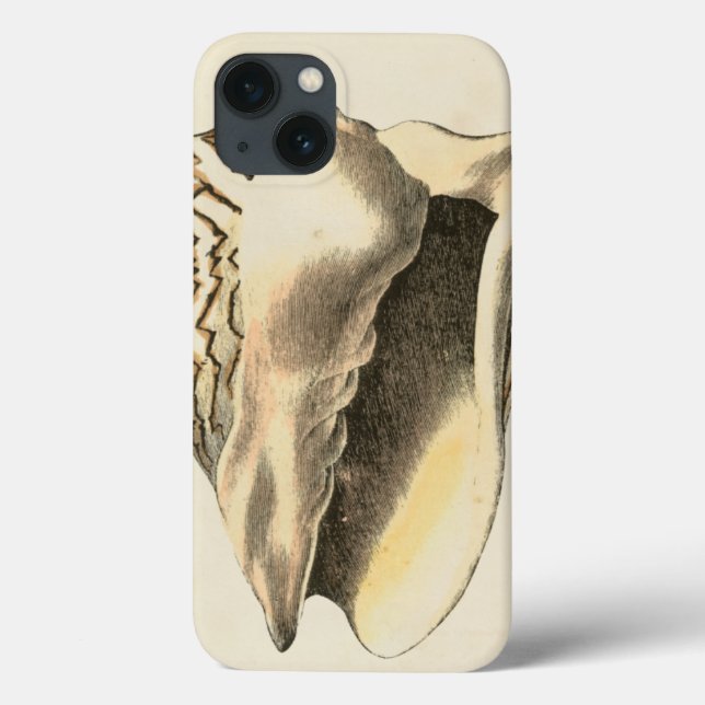Vintage Sepia Conch Shell Case-Mate iPhone Case (Back)