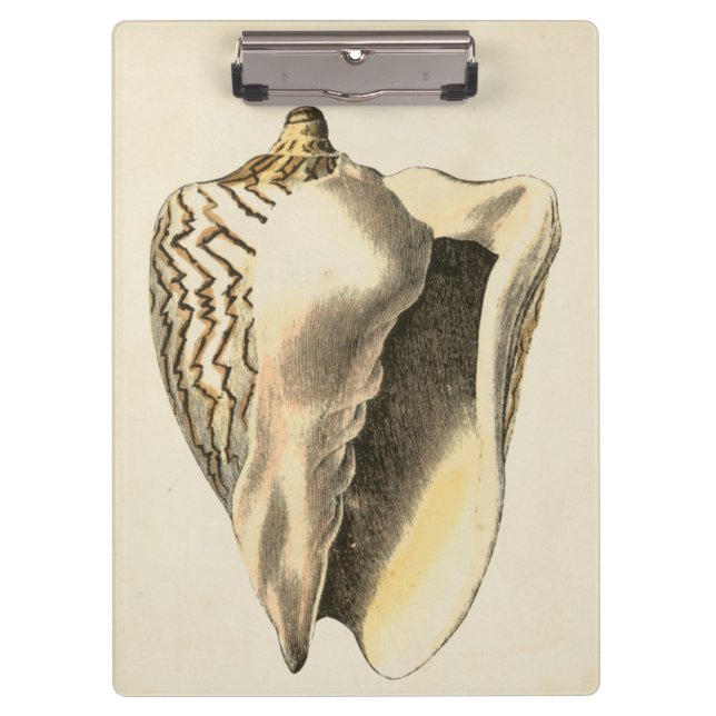Vintage Sepia Conch Shell Clipboard (Front)