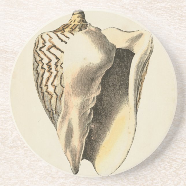 Vintage Sepia Conch Shell Coaster (Front)