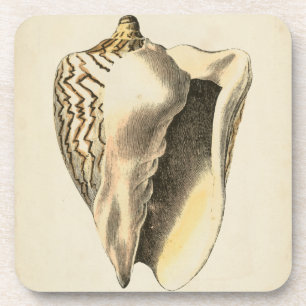 Vintage Sepia Conch Shell Coaster