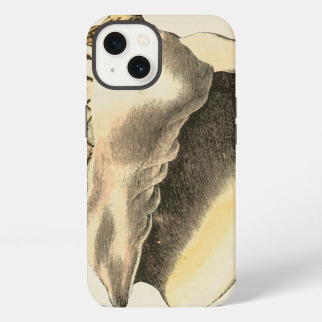 Vintage Sepia Conch Shell iPhone Case (Back)