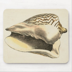 Vintage Sepia Conch Shell Mouse Mat