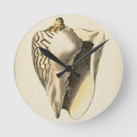 Vintage Sepia Conch Shell