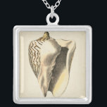 Vintage Sepia Conch Shell Silver Plated Necklace<br><div class="desc">You can hear the ocean from these Conch seashell loud and clear! If you are stressed out,  picture yourself on the warm sandy beach. These Conch seashell are a great piece of art with a sepia background to make the image stand out to be sharper.</div>