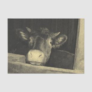 Vintage Sepia Cow In Barn Rustic Country Funny Tissue Paper