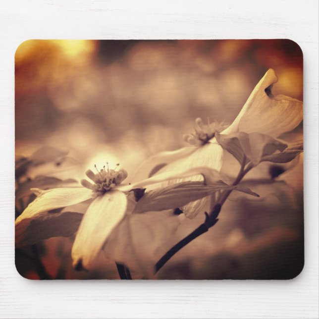 Vintage Sepia Dogwood Blossoms Flower  Mouse Mat (Front)