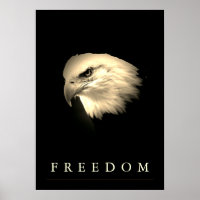 Vintage Sepia Freedom American Eagle Patriotic