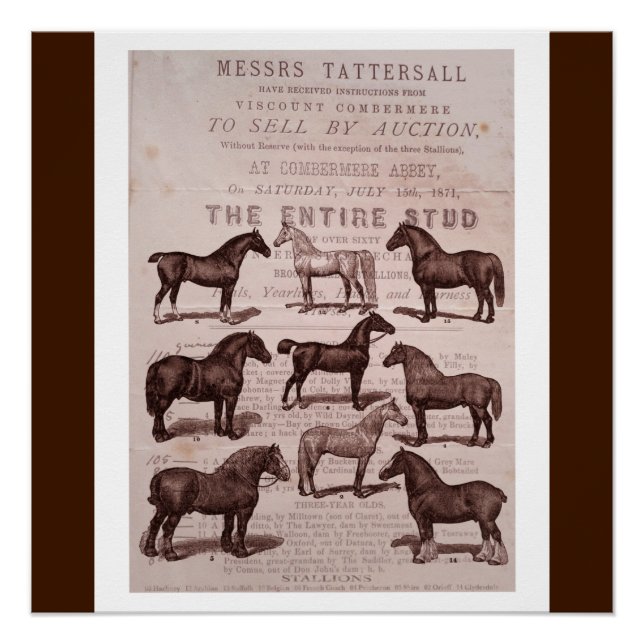 Vintage Sepia Horse & Stallions Auction Poster (Front)