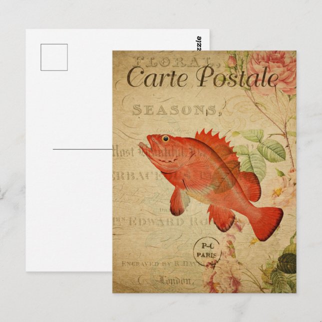 Vintage Sepia Orange Goldfish Postcard (Front/Back)