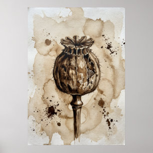 Vintage Sepia Poppy Seed Pod Botanical Art Poster