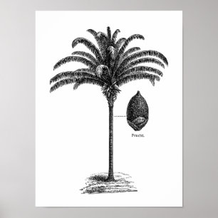 Vintage Sepia Retro Brazilian Palm Tree Template Poster