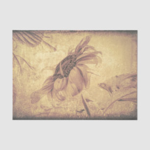 Vintage Sepia Sunflower Antique Grunge Texture Tissue Paper