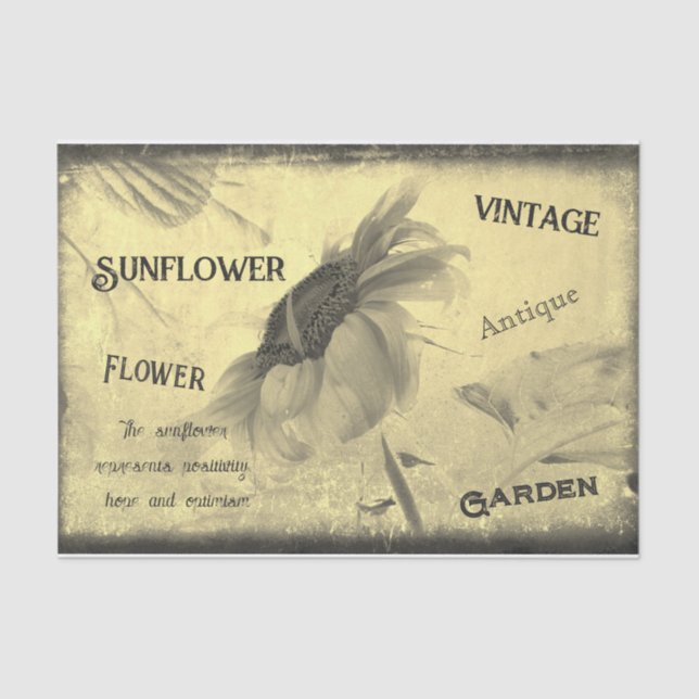 Vintage Sepia Tone Sunflower Ephemera Texture Tissue Paper (Front)
