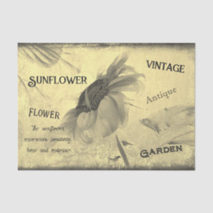 Vintage Sepia Tone Sunflower Ephemera Texture Tissue Paper