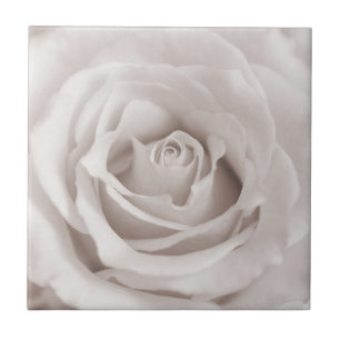 Vintage Sepia White & Cream Rose Background Custom Tile