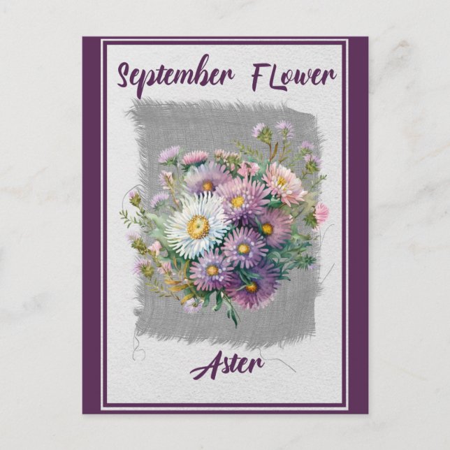Vintage September Flower Aster Floral Postcard (Front)