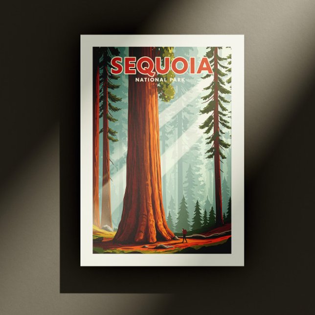 Vintage Sequoia National Park Postcard (Creator Uploaded)