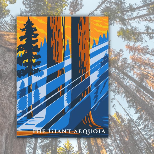 Vintage Sequoia National Park Travel Postcard (Creator Uploaded)