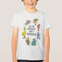 Vintage Sesame Street Characters Birthday