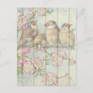 Vintage Shabby Chic Faded Floral Birds Design  Postcard