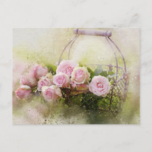 Vintage Shabby Chic Watercolour Pink Roses Postcard