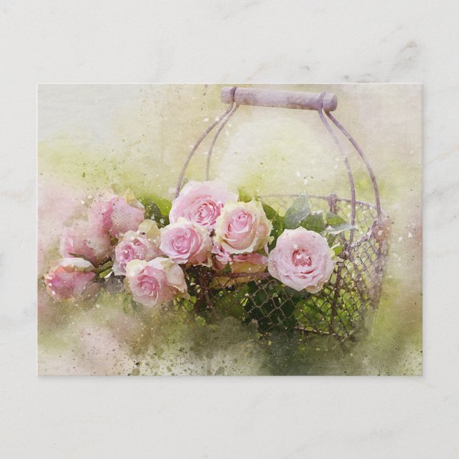 Vintage Shabby Chic Watercolour Pink Roses Postcard (Front)