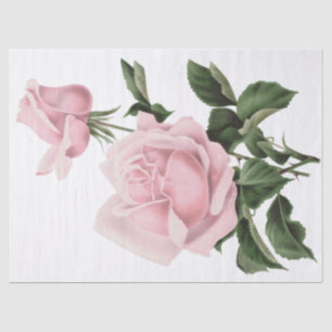 Vintage Shabby Pink Floral Roses Tissue Paper