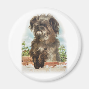vintage shaggy dog magnet