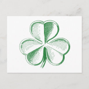 Vintage Shamrock Postcard