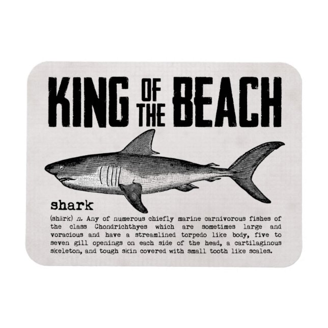 Vintage Shark and Definition Beach King Magnet (Horizontal)