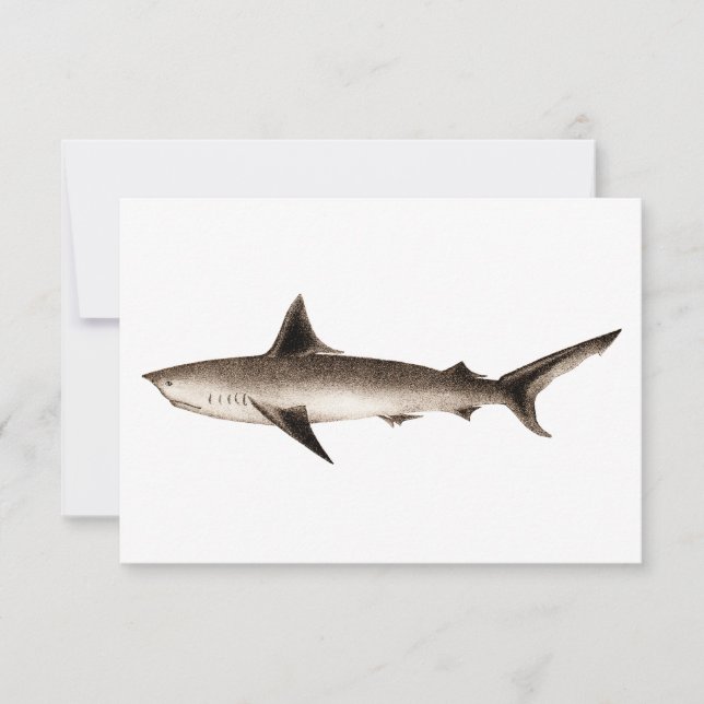 Vintage Shark Illustration - Retro Sharks Template (Front)