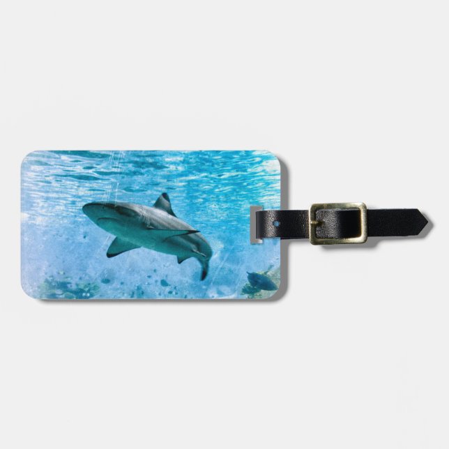 Vintage Shark Luggage Tag (Front Horizontal)