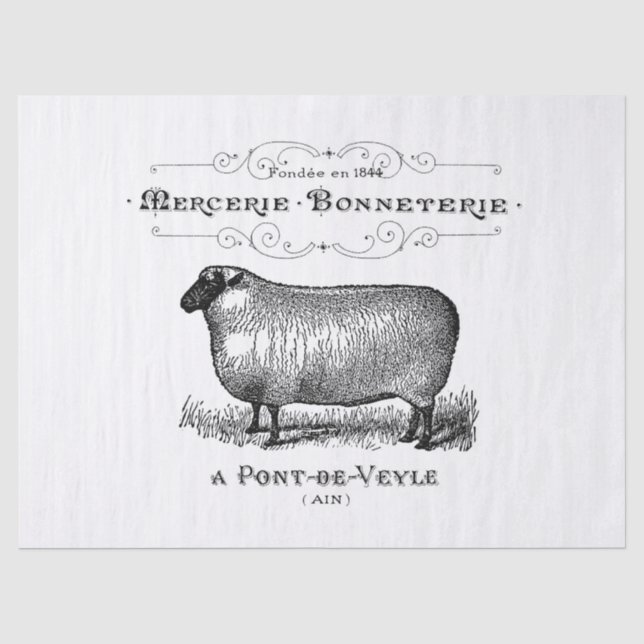 Vintage Sheep Ad Tissue Paper (Front)