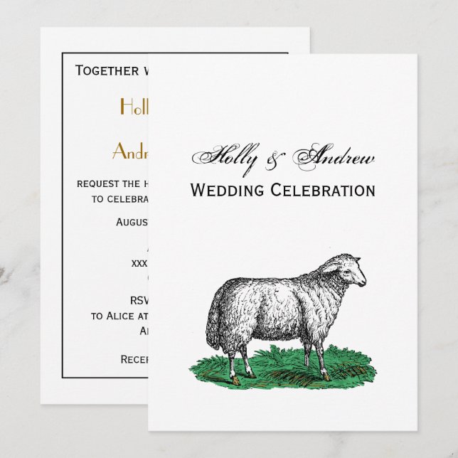 Vintage Sheep Ewe Farm Animals Drawing C Invitation (Front/Back)
