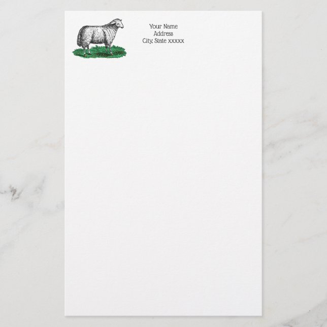 Vintage Sheep Ewe Farm Animals Drawing C Stationery (Front)