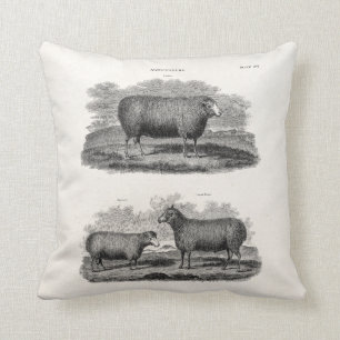 Vintage Sheep Ewe Farm Animals Retro Ewes Cushion