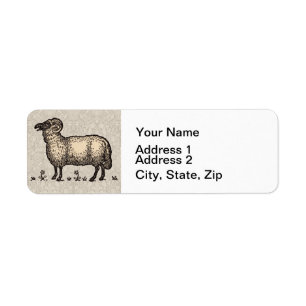 Vintage Sheep Illustration: Farm Classic Art