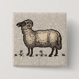Vintage Sheep Illustration: Farm Classic Art 15 Cm Square Badge