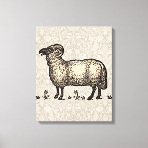 Vintage Sheep Illustration: Farm Classic Art Canvas Print