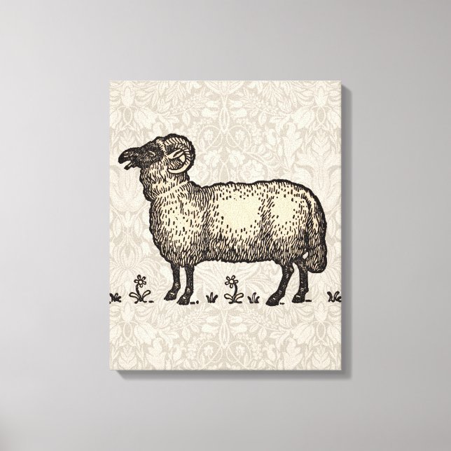 Vintage Sheep Illustration: Farm Classic Art Canvas Print (Front)