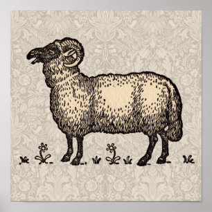 Vintage Sheep Illustration: Farm Classic Art Poster