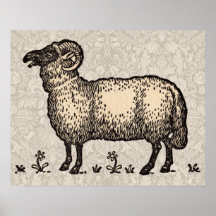 Vintage Sheep Illustration: Farm Classic Art Poster