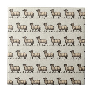 Vintage Sheep Illustration: Farm Classic Art Tile