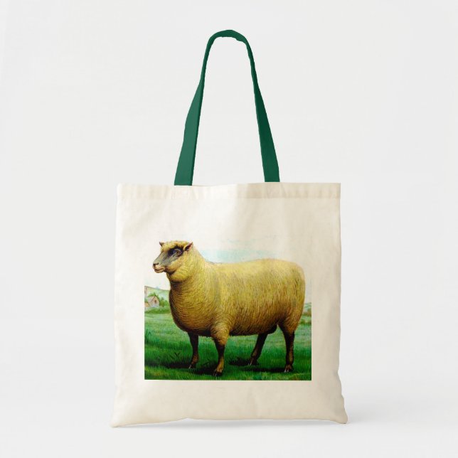 Vintage sheep painting tote bag (Front)