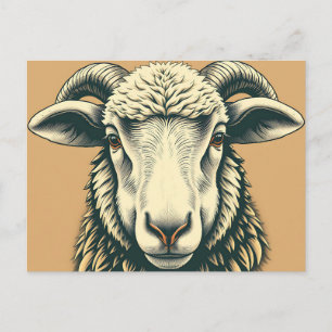 Vintage Sheep Portrait in Rustic Style Postcard