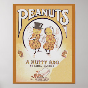 Vintage Sheet Music Cover Peanuts A Nutty Rag copy Poster