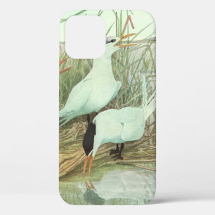 Vintage Shorebirds in a Marsh by Louis Fuertes iPhone 12 Case