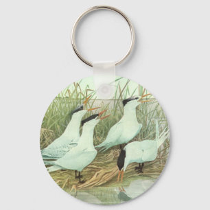 Vintage Shorebirds in a Marsh by Louis Fuertes Key Ring