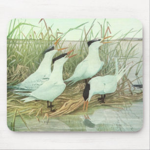 Vintage Shorebirds in a Marsh by Louis Fuertes Mouse Mat